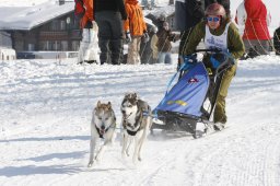 Lenk 2012 SM